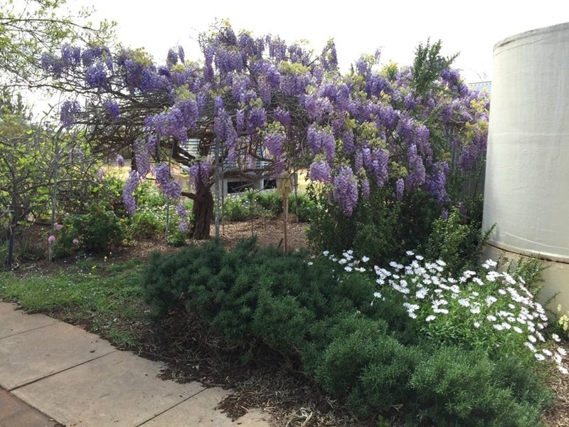 193 French Road, Loxton North SA 5333