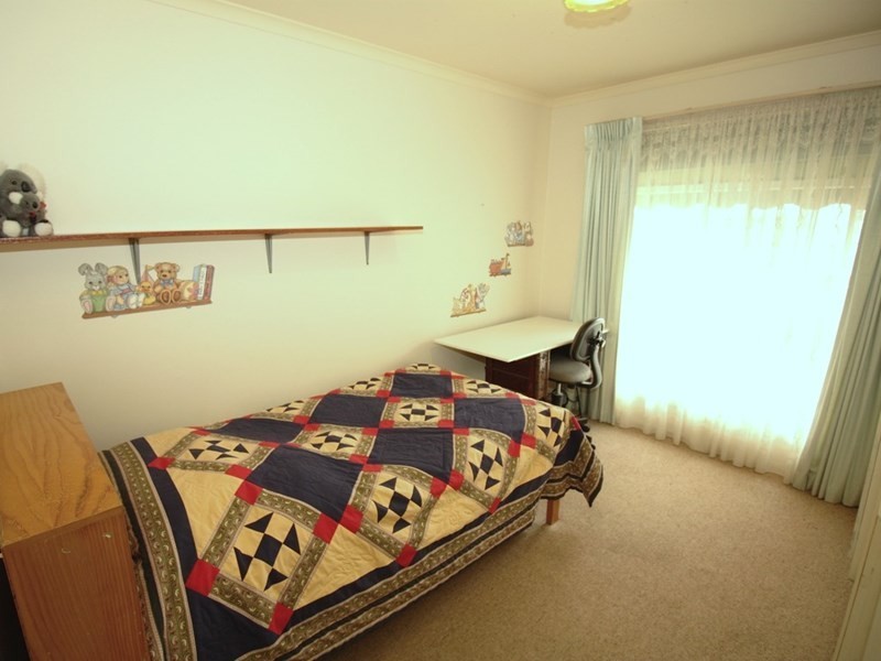 6 Najar Court, Berri SA 5343