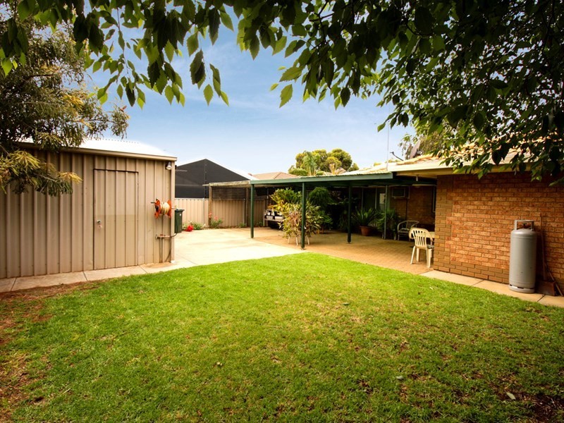 6 Najar Court, Berri SA 5343