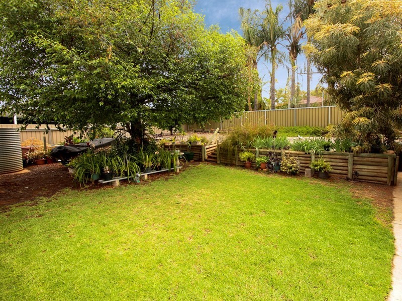 6 Najar Court, Berri SA 5343