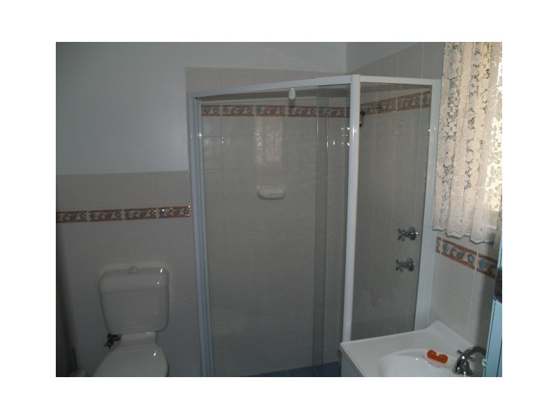 96 Isaacson Street, Waikerie SA 5330