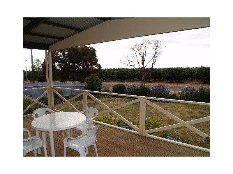 96 Isaacson Street, Waikerie SA 5330