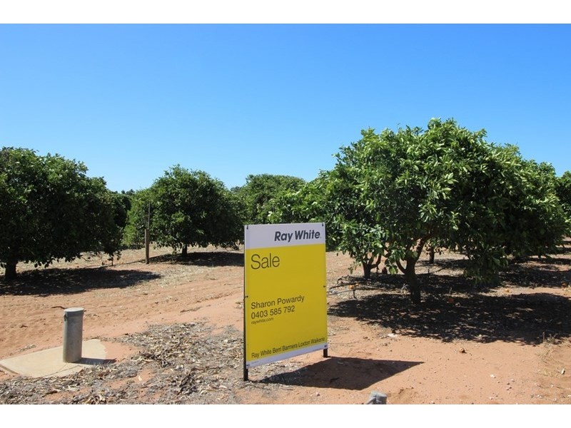 Lot 71 Medley Road, Sunlands SA 5322