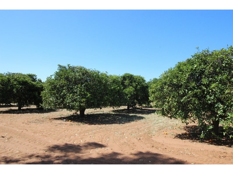 Lot 71 Medley Road, Sunlands SA 5322