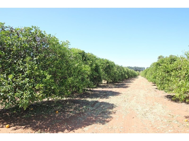 Lot 71 Medley Road, Sunlands SA 5322