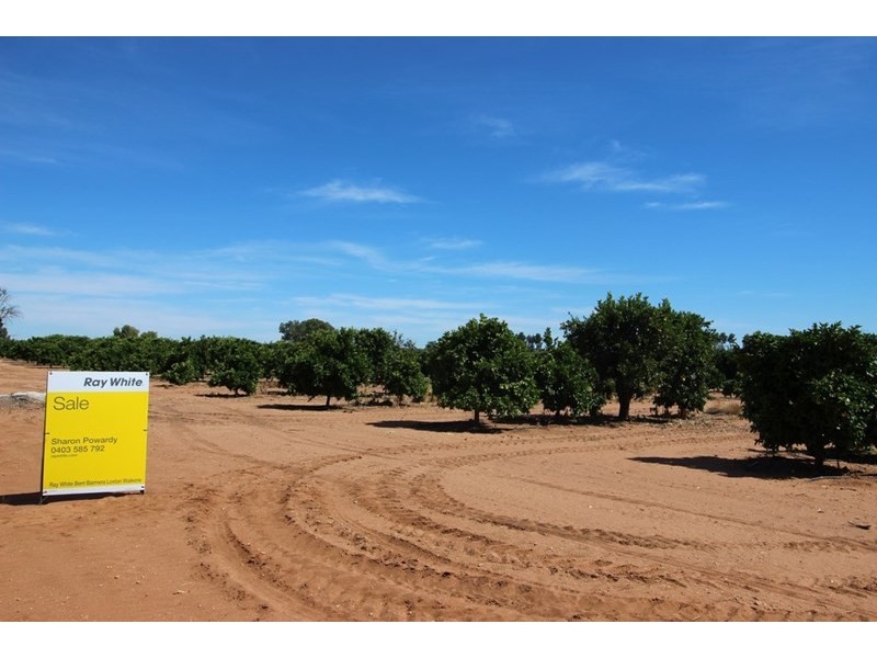 Lot 69, 70 and 1000, Waikerie SA 5330