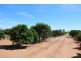 Lot 69, 70 and 1000, Waikerie SA 5330