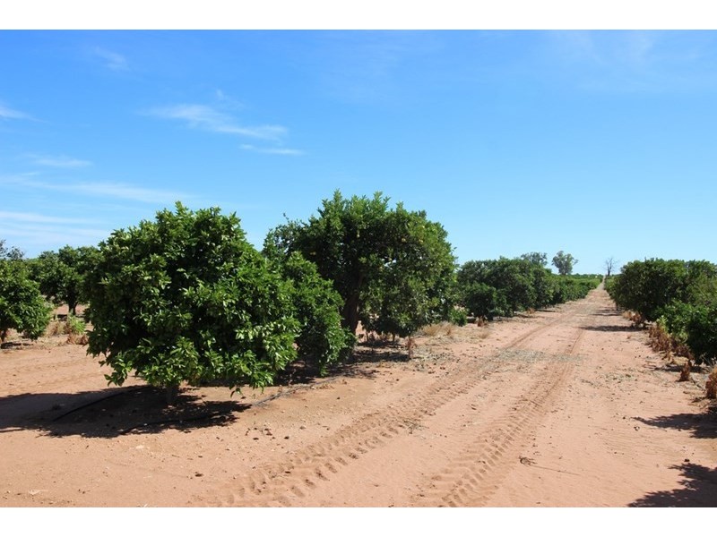Lot 69, 70 and 1000, Waikerie SA 5330