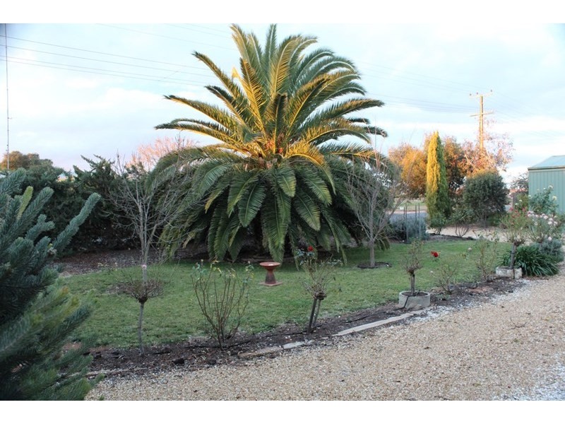 78 Vasey Road, Waikerie SA 5330