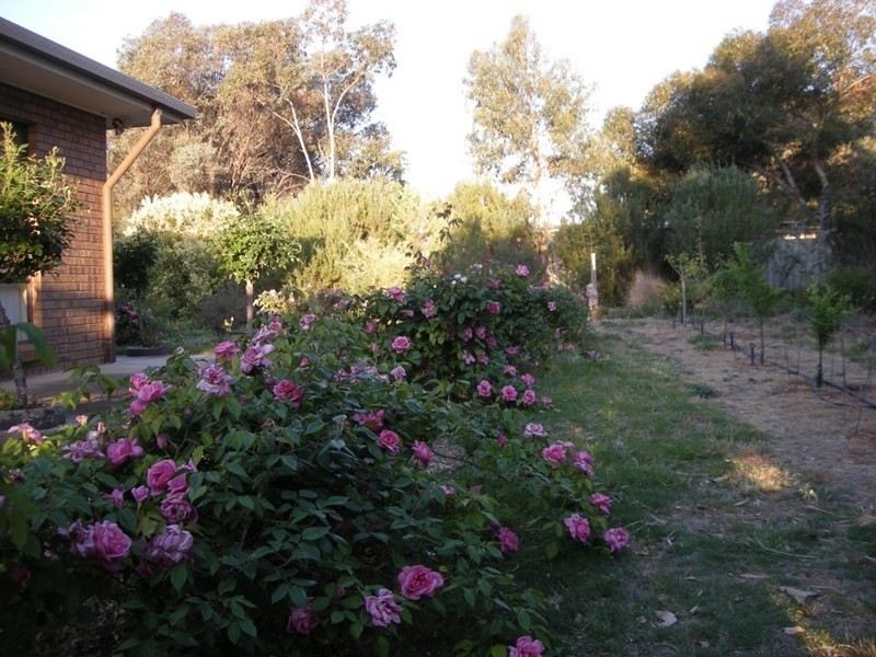 78 Vasey Road, Waikerie SA 5330