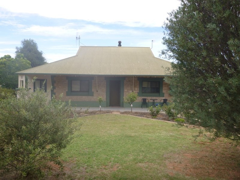 15 Pascoe Terrace, Barmera SA 5345