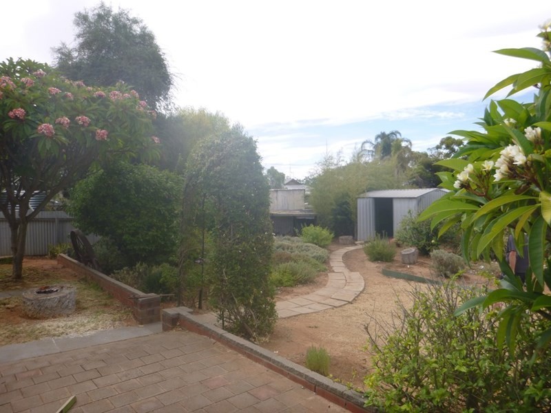 15 Pascoe Terrace, Barmera SA 5345