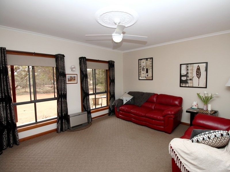 87 Minnis Road, Berri SA 5343