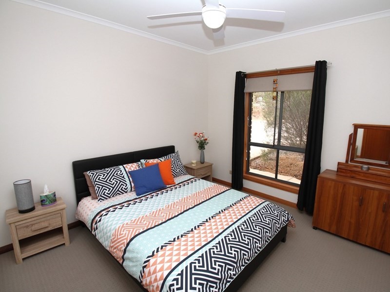 87 Minnis Road, Berri SA 5343