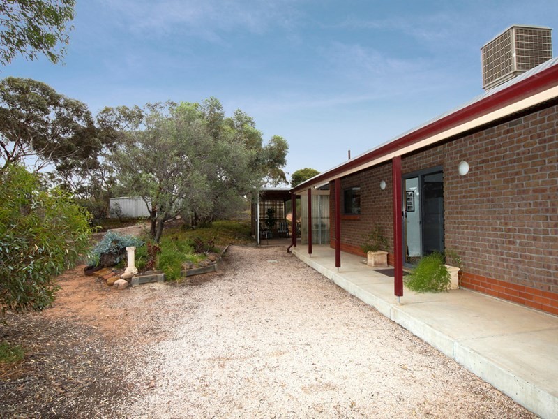 87 Minnis Road, Berri SA 5343