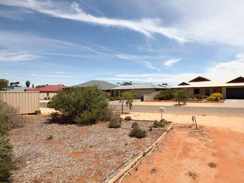 10 Torrens Street, Loxton SA 5333