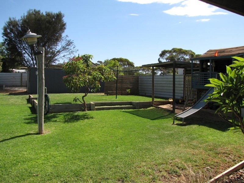 3 Morris Street, Loveday SA 5345