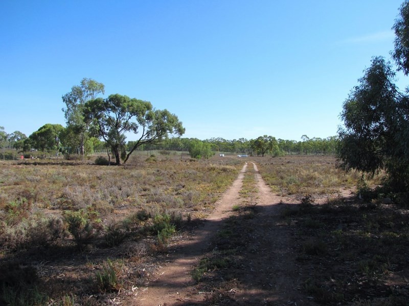 Section 424 Holmes Road, Kingston On Murray SA 5331