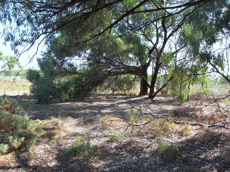 Section 424 Holmes Road, Kingston On Murray SA 5331