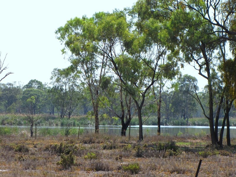 Section 424 Holmes Road, Kingston On Murray SA 5331