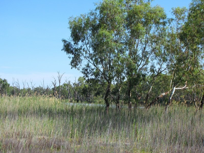 Section 424 Holmes Road, Kingston On Murray SA 5331