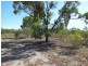 Section 424 Holmes Road, Kingston On Murray SA 5331