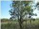 Section 424 Holmes Road, Kingston On Murray SA 5331
