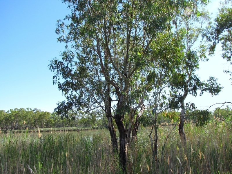 Section 424 Holmes Road, Kingston On Murray SA 5331