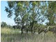 Section 424 Holmes Road, Kingston On Murray SA 5331