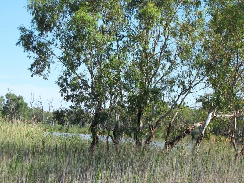 Section 424 Holmes Road, Kingston On Murray SA 5331