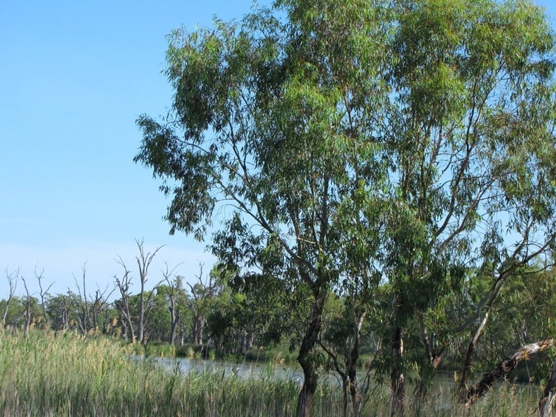 Section 424 Holmes Road, Kingston On Murray SA 5331