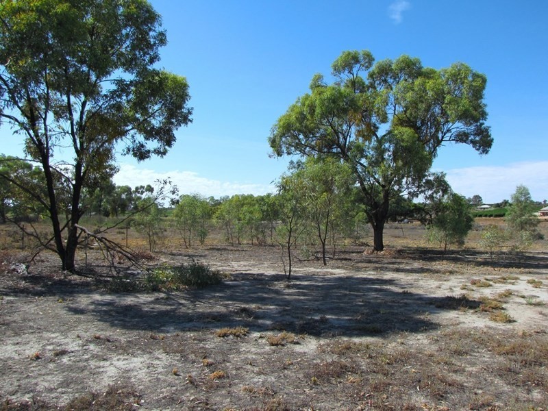 Section 424 Holmes Road, Kingston On Murray SA 5331