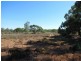 Section 424 Holmes Road, Kingston On Murray SA 5331