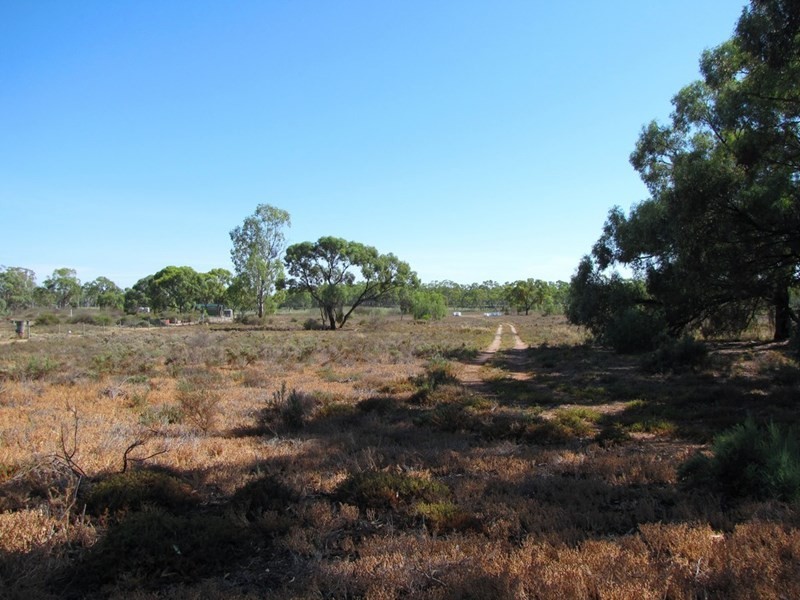 Section 424 Holmes Road, Kingston On Murray SA 5331