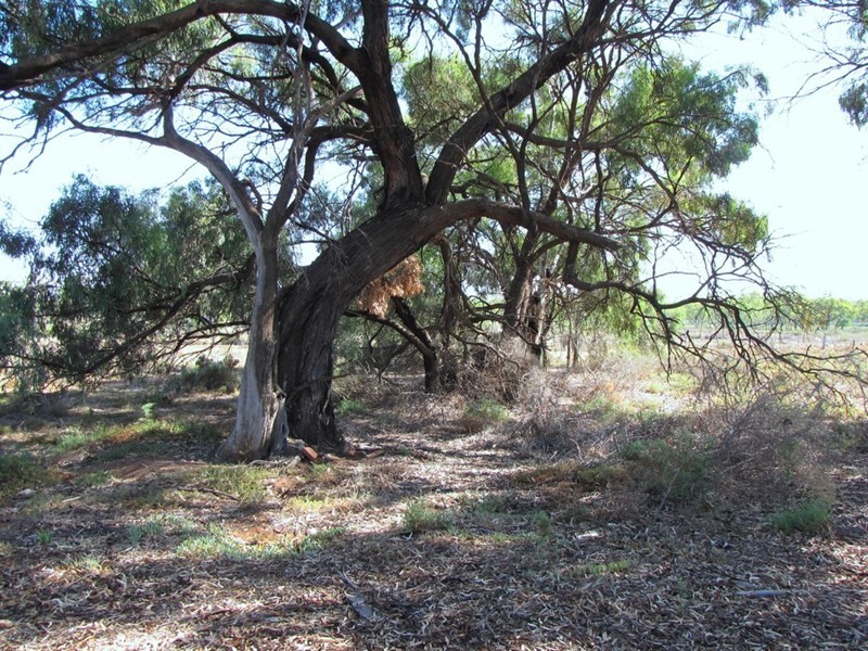 Section 424 Holmes Road, Kingston On Murray SA 5331