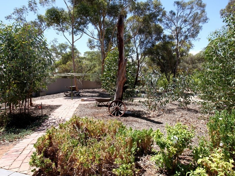 131 Nookamka Terrace, Barmera SA 5345