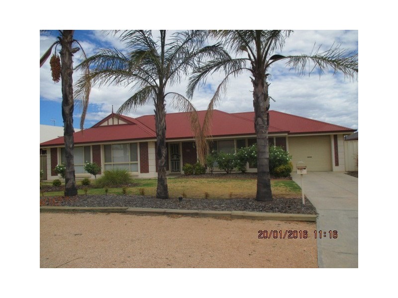 10 Huckstepp Court, Berri SA 5343