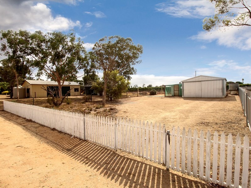 22 Thelma Road, Barmera SA 5345