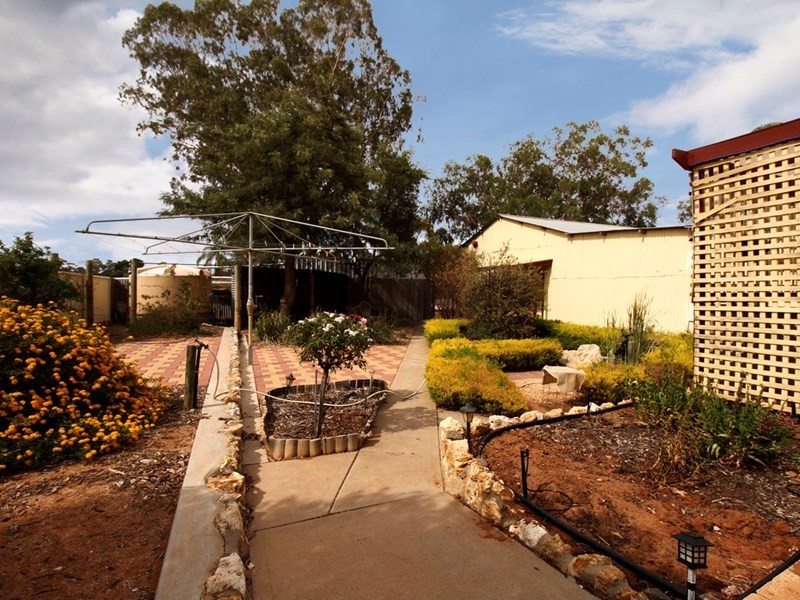 22 Thelma Road, Barmera SA 5345