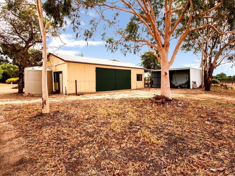 22 Thelma Road, Barmera SA 5345