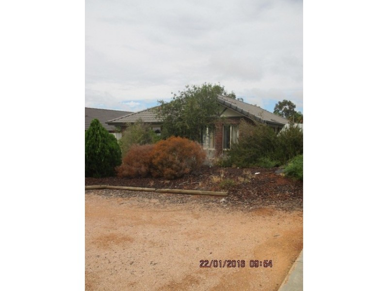 3 Padman Court, Berri SA 5343