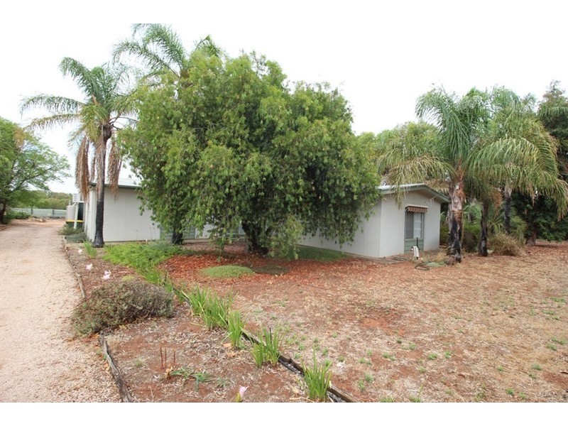 193 Playford Road, Waikerie SA 5330