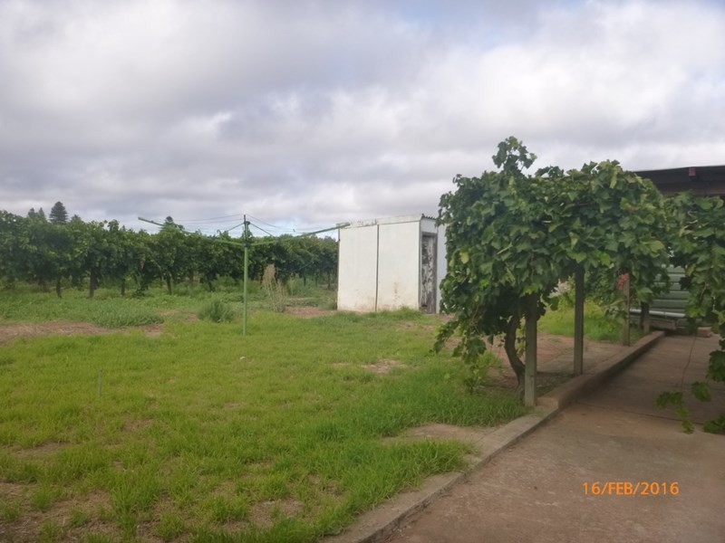 132 Dunstone Road, Barmera SA 5345