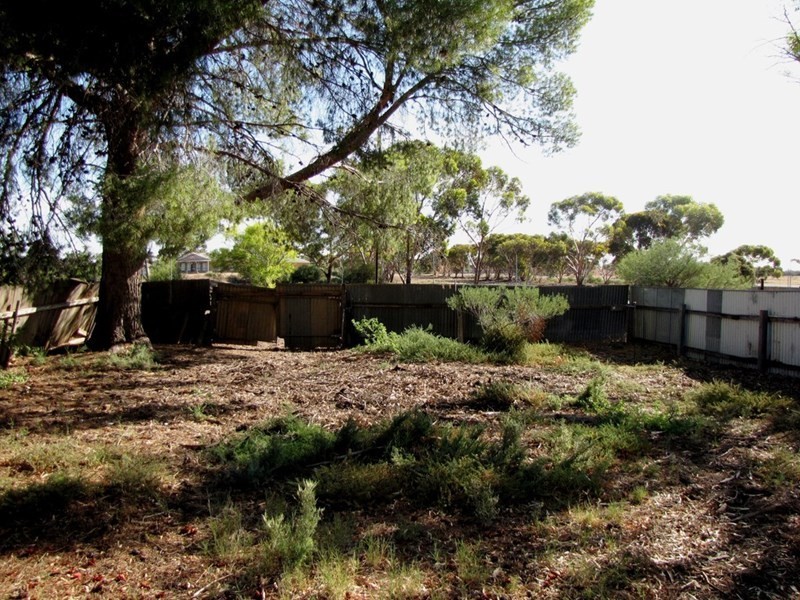 2 Riverview Terrace, Morgan SA 5320