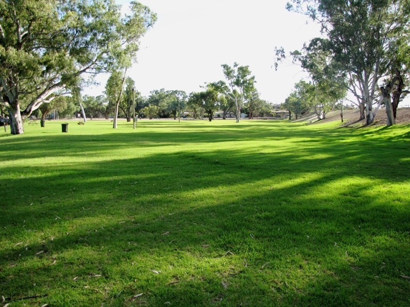 2 Riverview Terrace, Morgan SA 5320