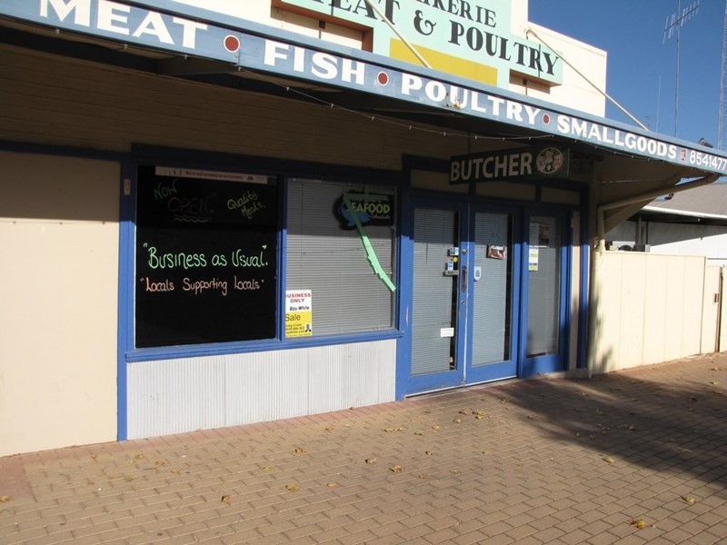 18 McCoy Street, Waikerie SA 5330