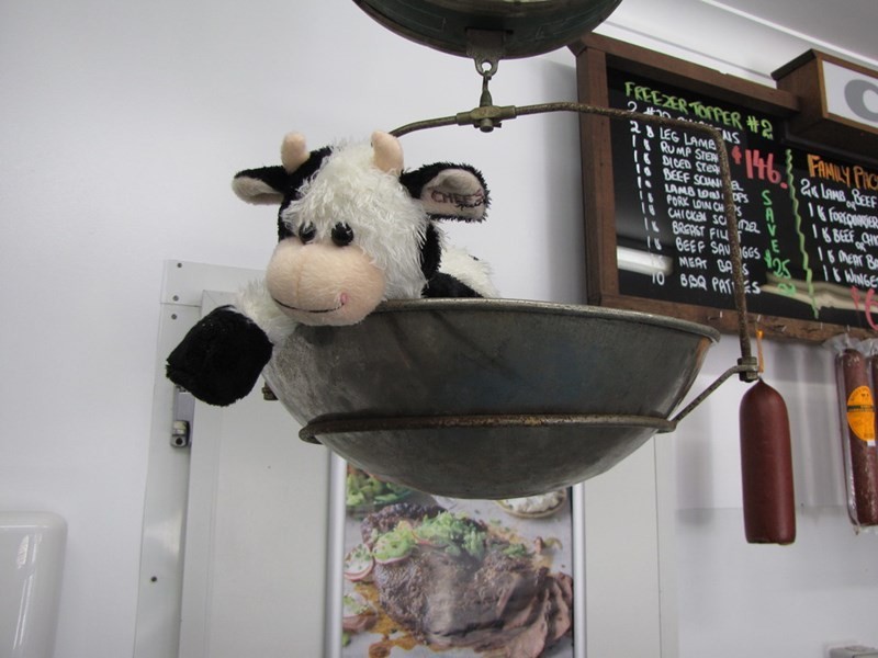 18 McCoy Street, Waikerie SA 5330