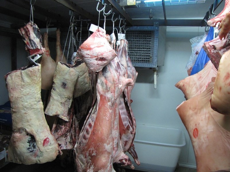 18 McCoy Street, Waikerie SA 5330