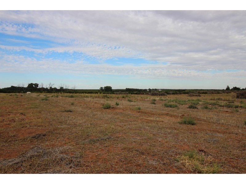 125 Barclay Road, Waikerie SA 5330