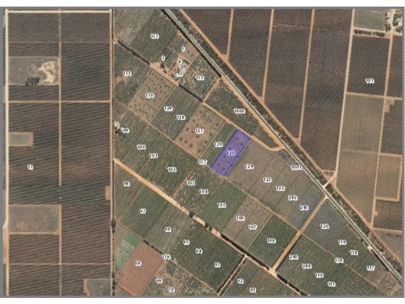 125 Barclay Road, Waikerie SA 5330